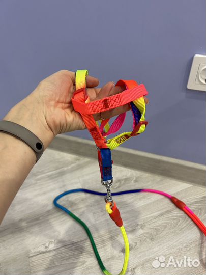 Шлейка для собак мелких пород