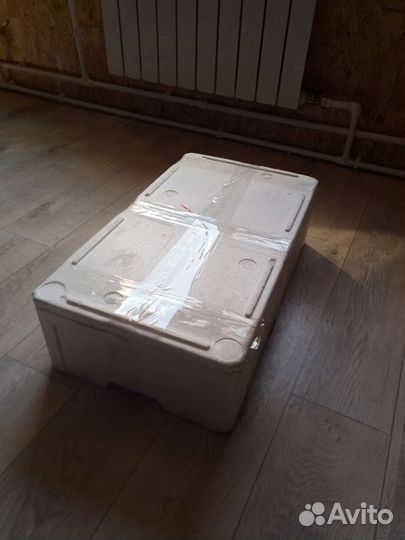 Термоконтейнер из пенопласта