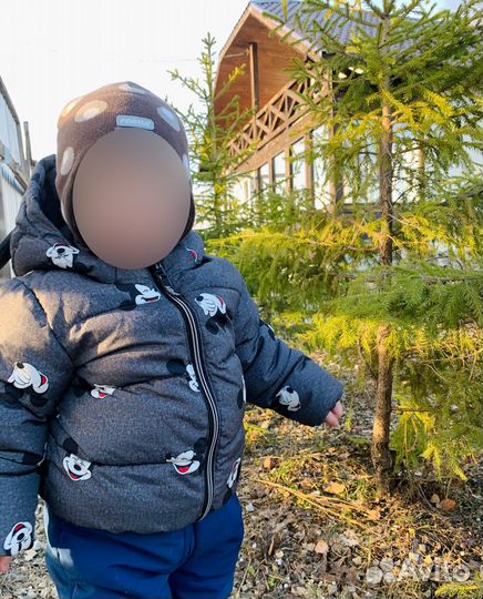 Куртка демисезонная 86 hm