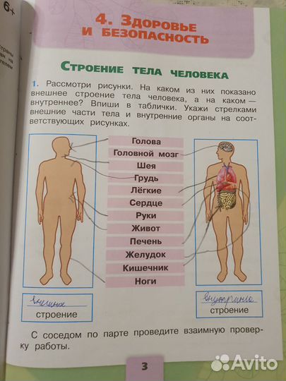 Рабочая тетрадь окружающий мир 2 кл 2 часть