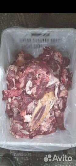 Обрезь говяжий головы