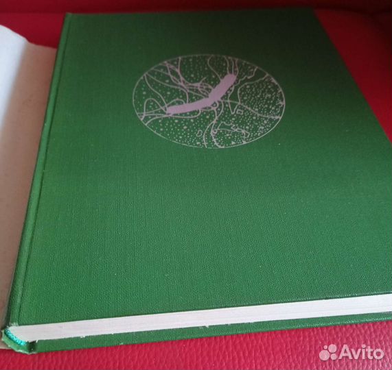 Жизнь растений