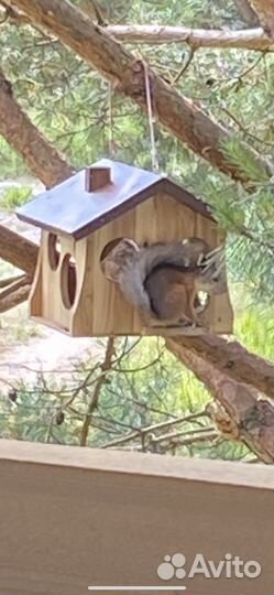 Кормушка для птиц и белок из дерева
