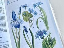 Ботаническая книга иллюстрации растений 1990 год