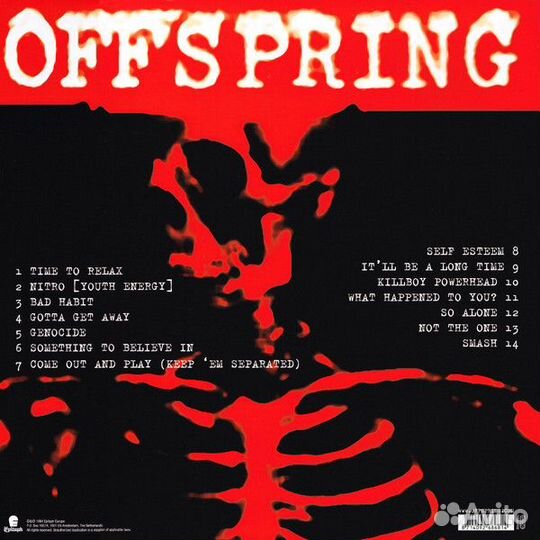 Виниловая пластинка The Offspring - smash
