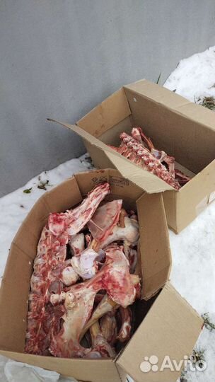 Кости обрези для собак свежие есть доставка