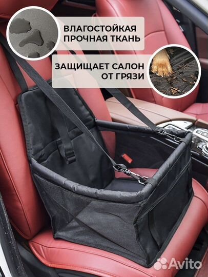 Автоперевозка для животных