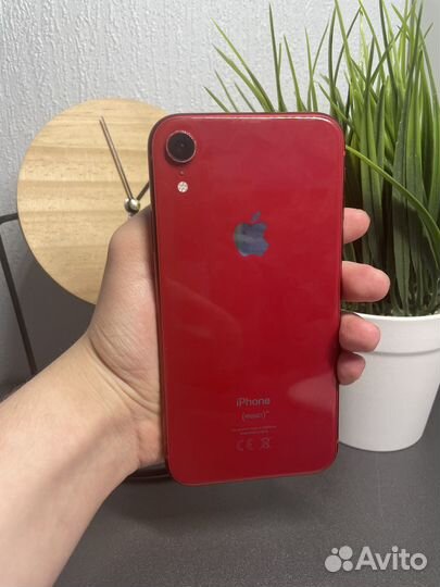 iPhone Xr, 128 ГБ
