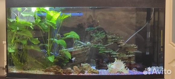 Аквариум