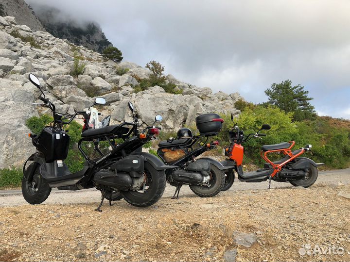 Honda Zoomer 50