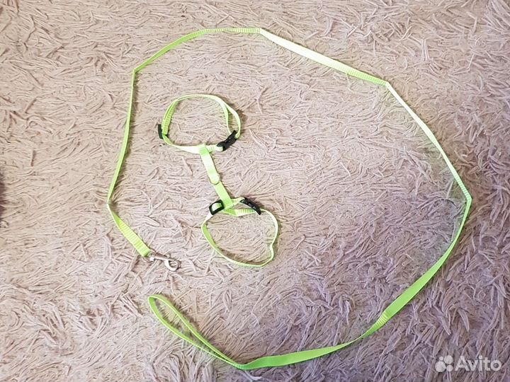 Шлейка для котов