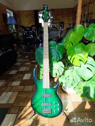 Бас гитара Carvin Icon 5 piezo USA (обмен)