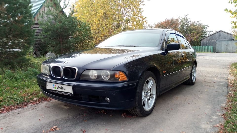 BMW 5 серия: фото владельца