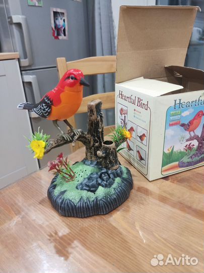 Птичка музыкальная