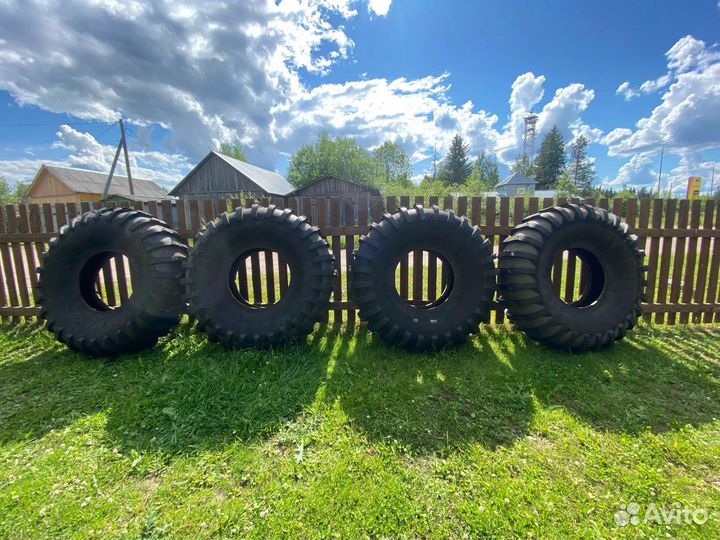 Ободрыши ураган