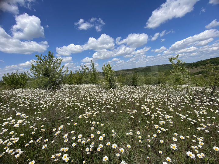 Участок 12 сот. (ИЖС)