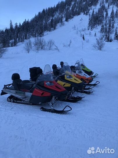 Подбор квадроциклов,снегоходов,багги