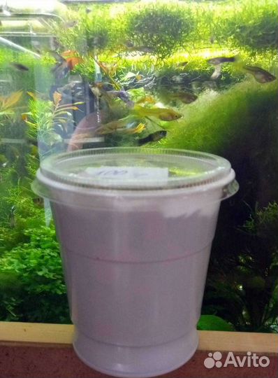 Растения, грунт, удобрения, корм для рыб