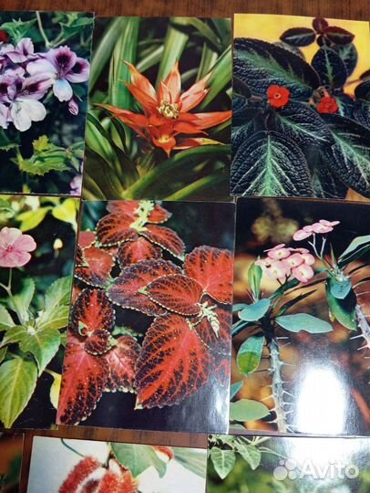 Открытки от 1980 года