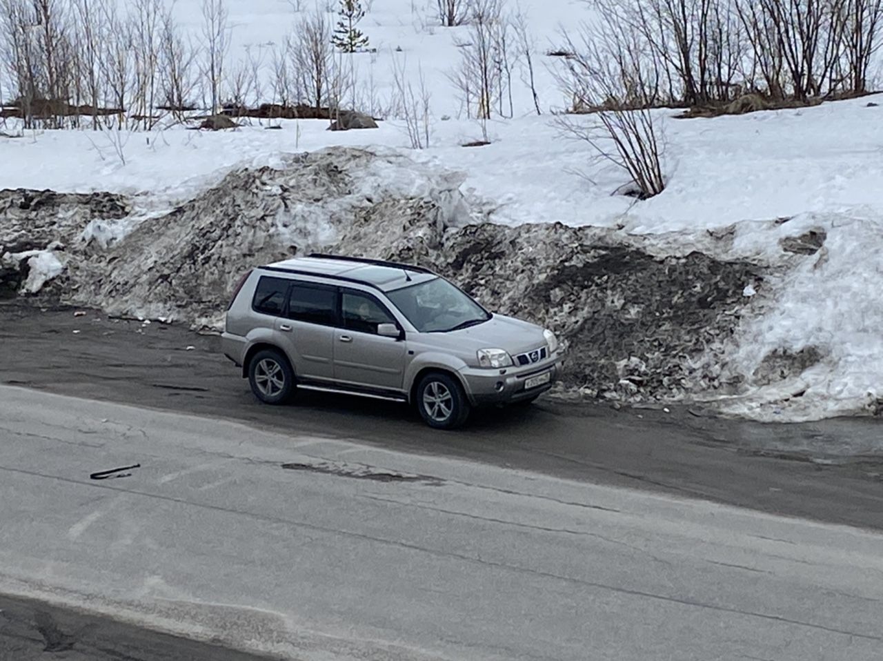 Nissan X-Trail: фото владельца