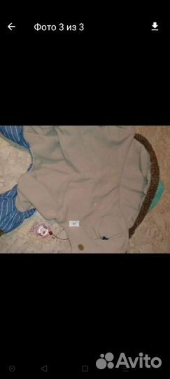 Одежда для собак