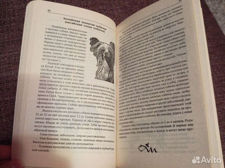 Минская А. Ваш пес