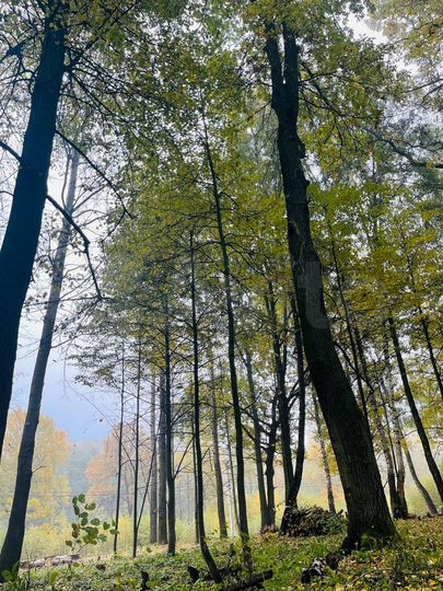 Участок 21 сот. (ИЖС)