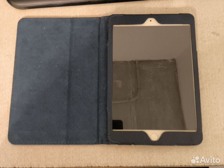 iPad mini A1455
