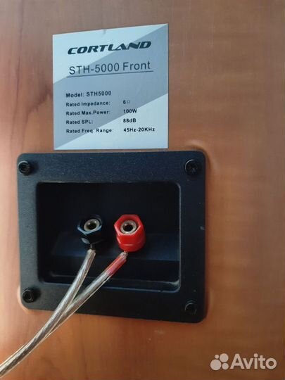 Колонки(2/100w,6om)