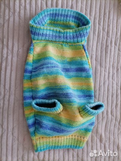 Одежда для собак