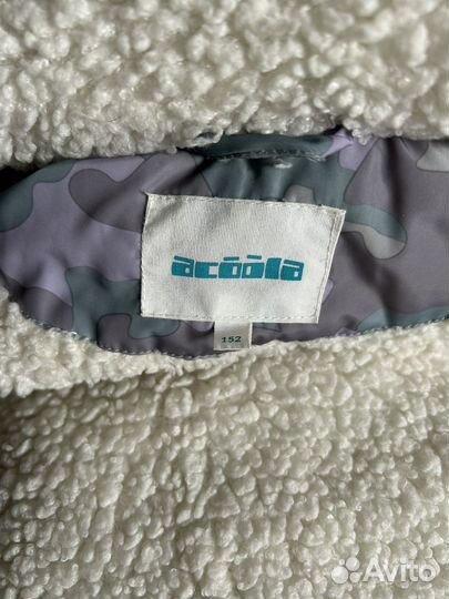 Кутрта зимняя