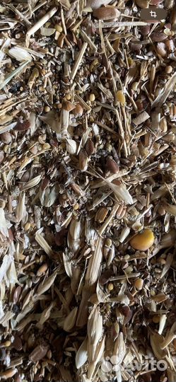 Зерноотходы опт от 10 Тонн