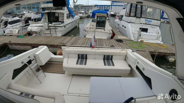 Морские прогулки Камчатка бронь на сезон 2024