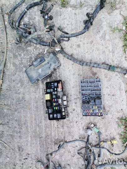 Блок предохранителей с проводкой Honda Element