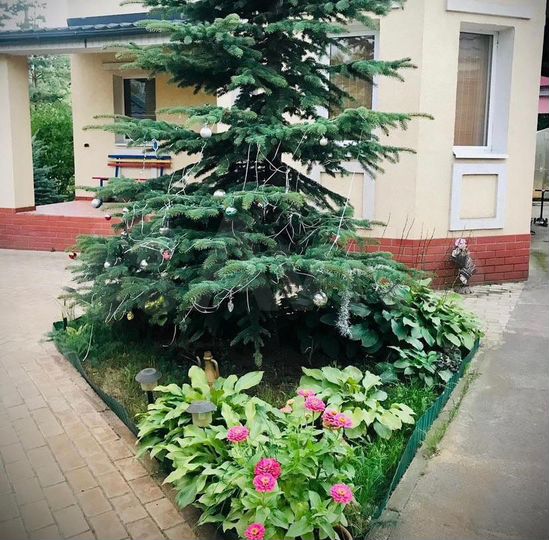 Дача 78,5 м² на участке 4,3 сот.