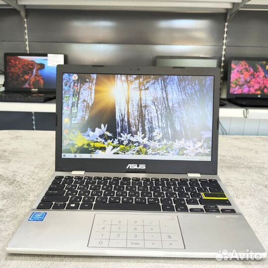Нетбук asus E210m 11.6