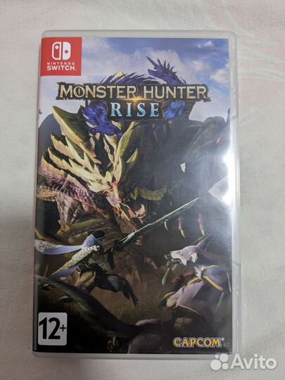 Monster hunter Rise