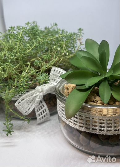 Стеклянное кашпо