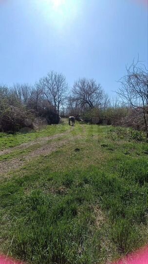 Дом 46 м² на участке 50 сот.