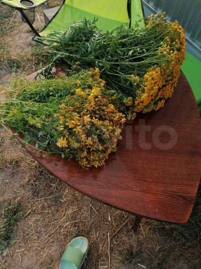 Участок 31 сот. (СНТ, ДНП)