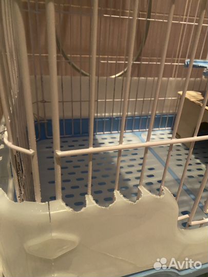 Клетка для грызунов