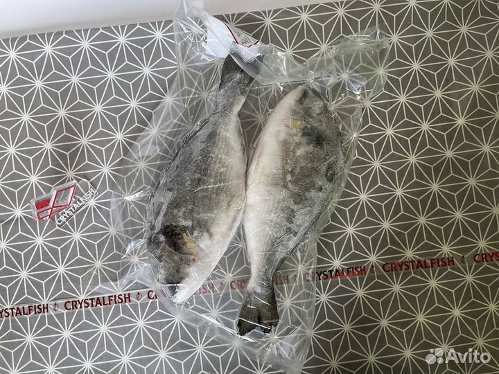 Дорадо, свежемороженый