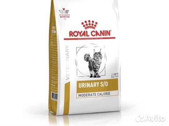 Корм для кошек royal canin urinary