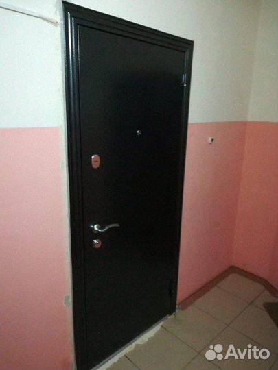 Дверь входная 2100 х 1000