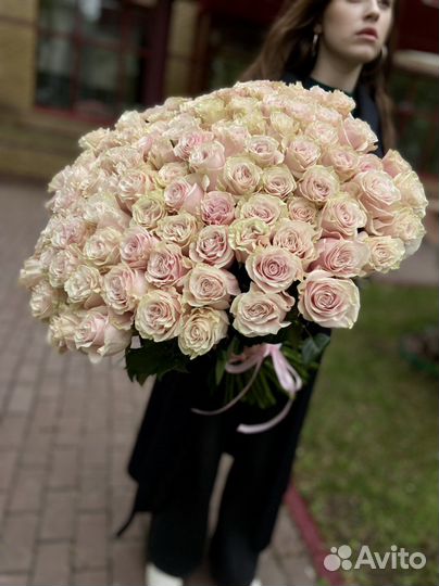 Роза Эквадор букет 101 роза