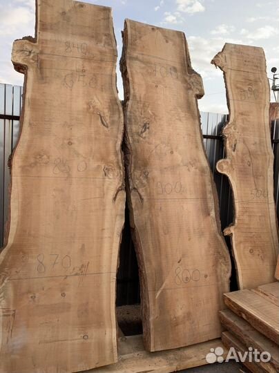 Слэб из Кедра