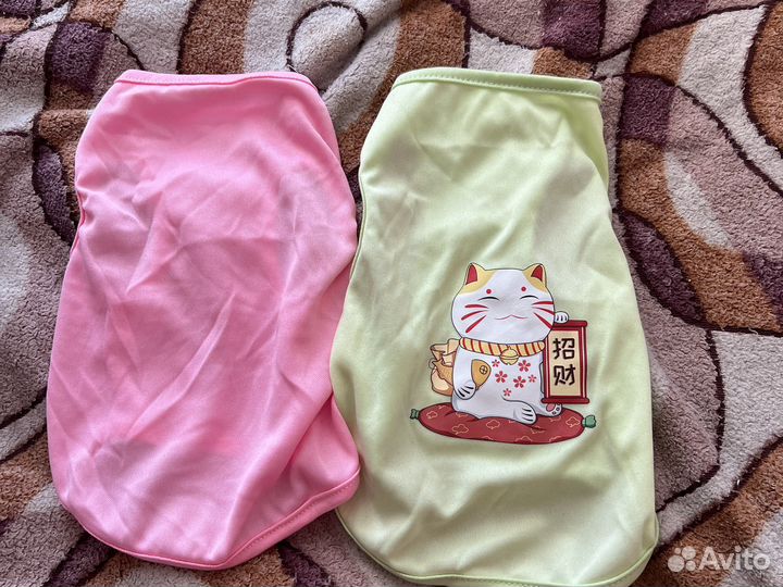 Одежда для животных