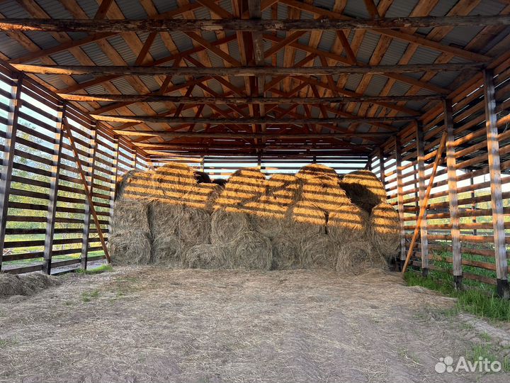 Ролоны сена