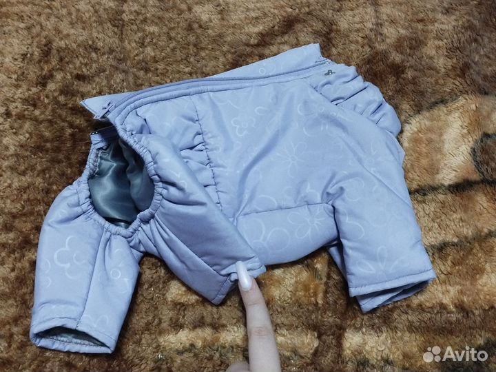 Зимний костюм для собак