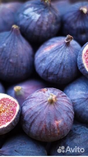 Инжир свежий